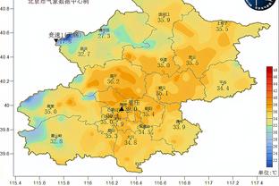 德媒：罗伊斯、胡梅尔斯等多特老将都对泰尔齐奇不感冒